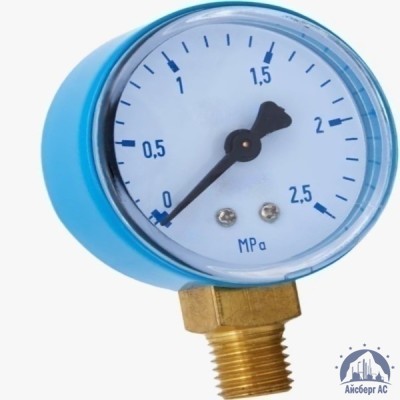 Манометр МДМ-25, кислород 2,5 МПа купить в Семей