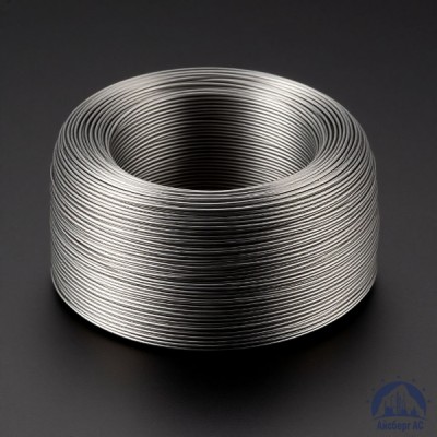 Проволока титановая 1 мм СПТ-2СВ  купить в Семей