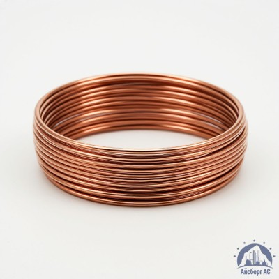 Проволока бронзовая 0.25 мм БрБ2 ГОСТ 15834-77 купить в Семей