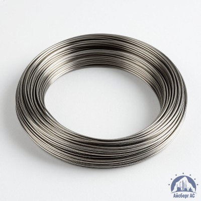 Проволока вольфрамовая 10,6 мкм ВМ купить в Семей