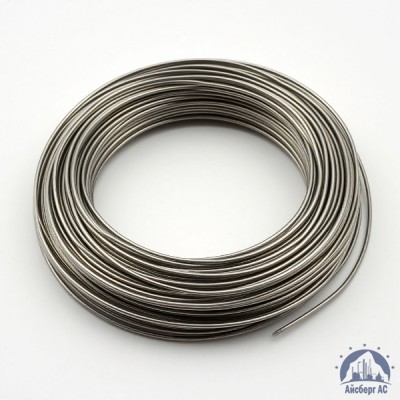 Проволока 0,03-Х20Н80-ВИ ГОСТ 8803-89 купить в Семей