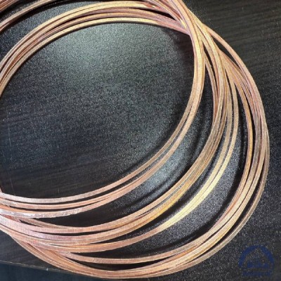 Прокладка медная уплотнительная 14х18-II s=1,5 ГОСТ 19752-84 купить в Семей