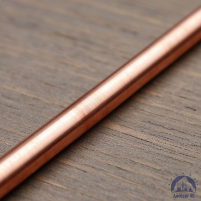 Пруток медный 10 мм М1 ГОСТ 1535-2006 купить в Семей