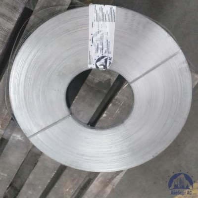 Штрипс холоднокатаный 1х137 мм МТ02 купить в Семей