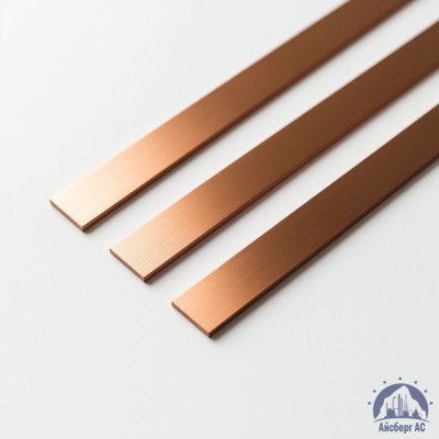 Полоса медная 100х10 мм ШМТ ГОСТ 434-78 купить в Семей