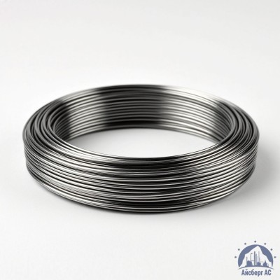 Проволока 0,5 Св-07Х19Н10Б ГОСТ 2246-70 купить в Семей