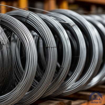 Проволока 1,2 мм 12ХМ ГОСТ 18143-72 купить в Семей