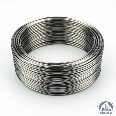 Проволока круглая 0,2-П-2-55 ГОСТ 3875-83 купить в Семей