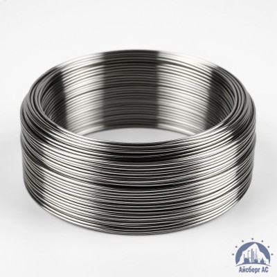 Проволока круглая 0,2-П-2-70 ГОСТ 3875-83 купить в Семей