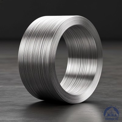 Алюминиевая сварочная проволока 1,8 мм СвАМГ6 купить в Семей