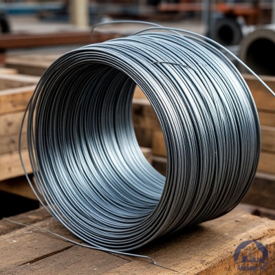 Проволока   1-1-25 ГОСТ 5663-79 купить в Семей