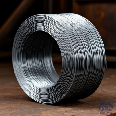 Проволока   1-1-35 ГОСТ 5663-79 купить в Семей