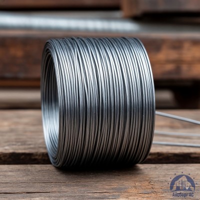 Проволока   1-2-30 ГОСТ 5663-79 купить в Семей