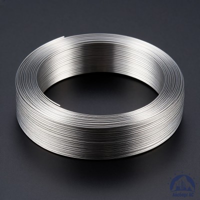 Проволока титановая 0,8 мм ВТ20-2СВ ГОСТ 27265-87 купить в Семей