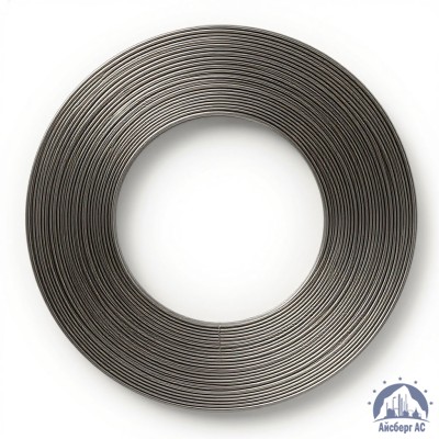 Проволока титановая 2 мм 7М купить в Семей