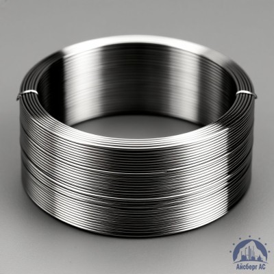 Проволока титановая 2 мм ВТ1-0 купить в Семей