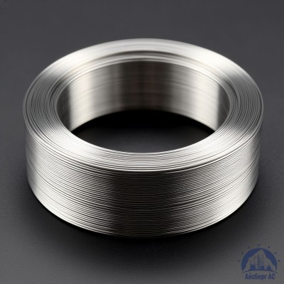 Проволока титановая 2 мм ВТ2СВ ГОСТ 27265-87 купить в Семей