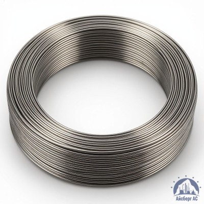 Проволока титановая 3 мм ВТ1-00СВ ГОСТ 27265-87 купить в Семей