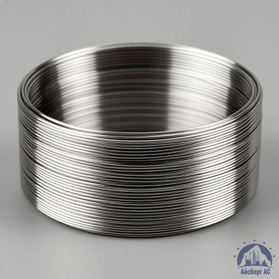 Проволока титановая 4 мм 2В купить в Семей