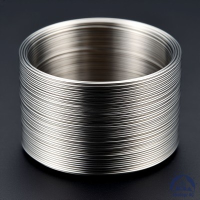 Проволока титановая 6 мм 2В купить в Семей