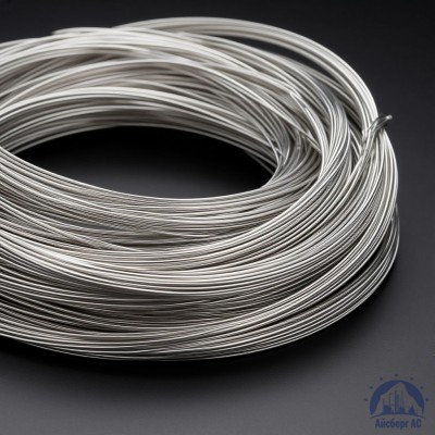 Проволока СрМ 916 купить в Семей