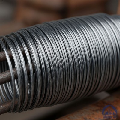 Проволока свинцовая 10 мм С2 купить в Семей