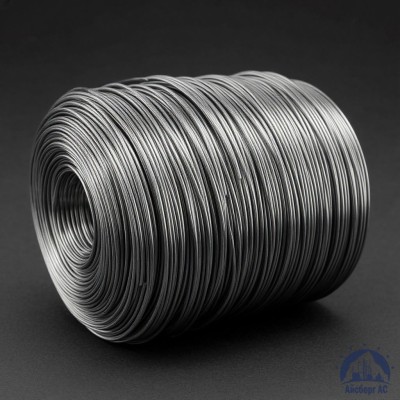 Проволока свинцовая 2 мм С1 купить в Семей