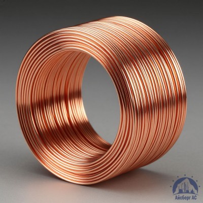 Проволока сварочная ДКРХМ 2 БТ М1 ГОСТ 16130-90 купить в Семей