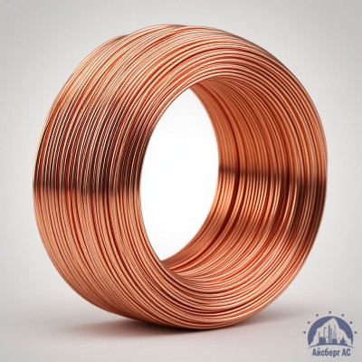 Проволока сварочная ДКРХМ 2,5 БТ МНЖКТ5-1-0,2-0,2 ГОСТ 16130-90 купить в Семей