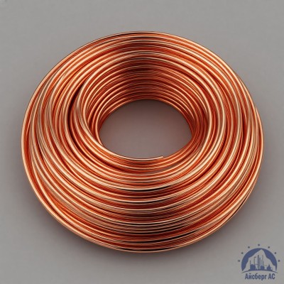 Проволока сварочная ДКРХМ 2,5 БТ МСр1 ГОСТ 16130-90 купить в Семей