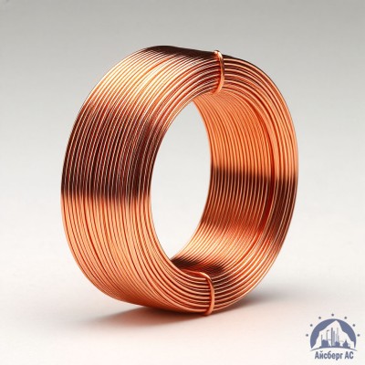 Проволока сварочная ДКРХМ 0,8 БТ МНЖКТ5-1-0,2-0,2 ГОСТ 16130-90 купить в Семей