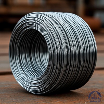 Проволока   1-П-2-10 ГОСТ 5663-79 купить в Семей