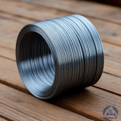 Проволока   1-П-2-40 ГОСТ 5663-79 купить в Семей