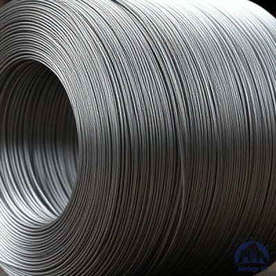 Проволока   1-П-2-45 ГОСТ 5663-79 купить в Семей