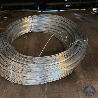 Проволока вязальная оцинкованная 0,6 мм ТН-1Ц ГОСТ 3282-74 купить в Семей