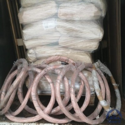 Проволока медная М0б 5 мм ДКРНТ в бухте купить в Семей