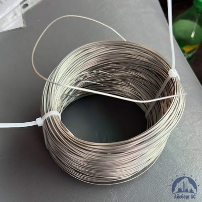 Проволока 0,25-Х15Н60 ГОСТ 8803-89 купить в Семей