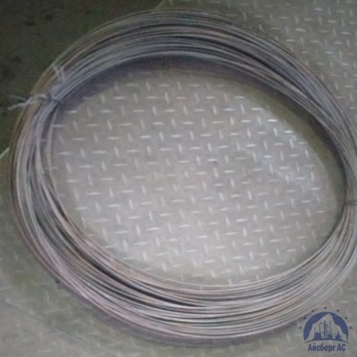 Проволока нержавеющая сварочная 0,8 мм AISI 308 LSI купить в Семей